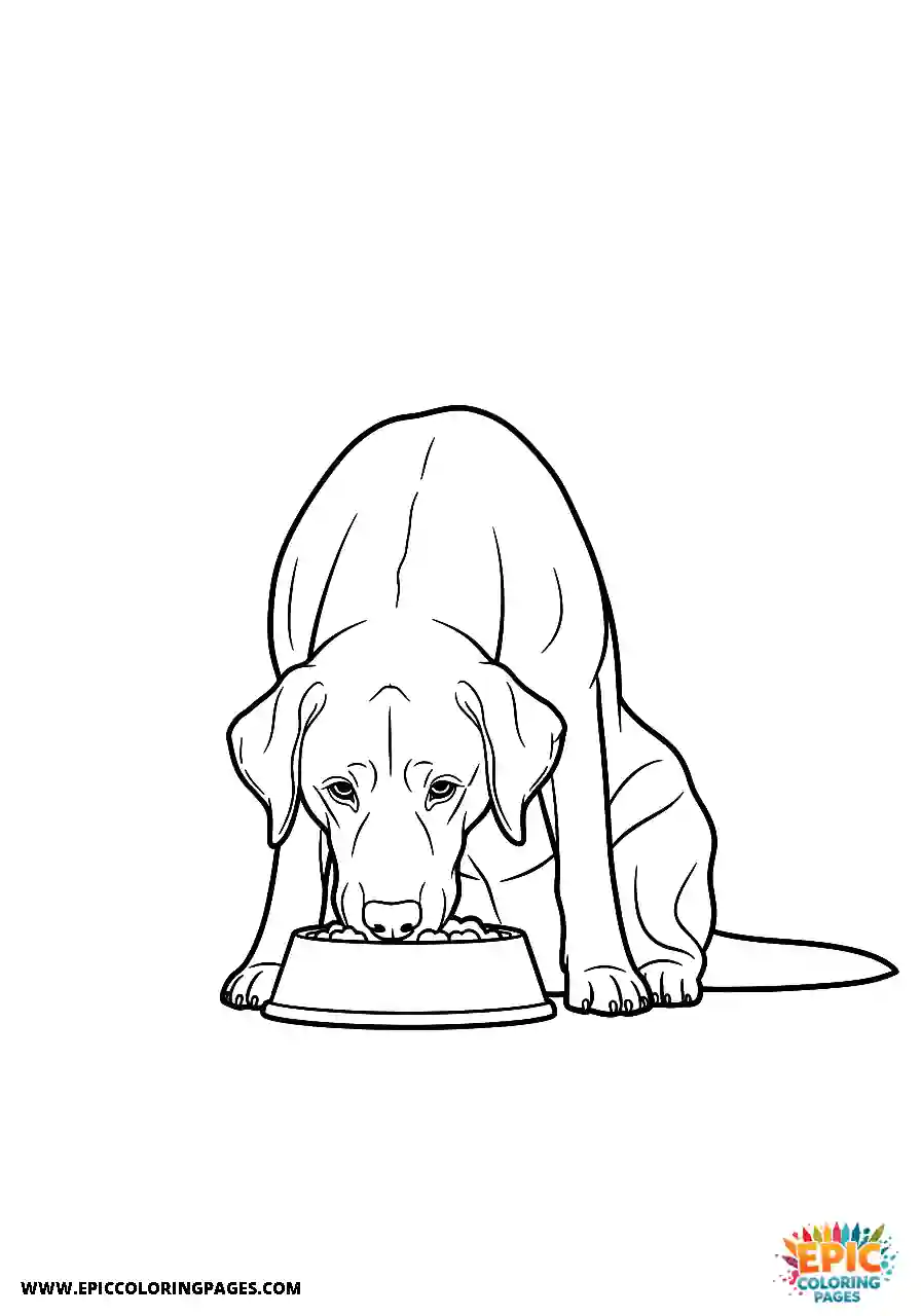 Labrador Retriever Dog Coloring Sheets Eating From A Food Bowl A Labrador Retriever dog coloring sheet easy eating from a food bowl.