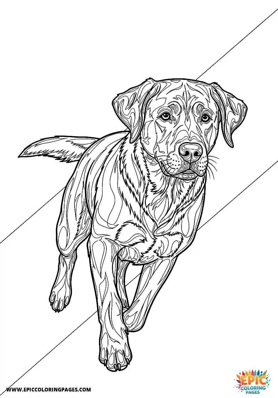 Labrador Retriever Dog Coloring Sheets Realistic Style Featuring A Dynamic Diagonal Composition A Labrador Retriever dog coloring sheet realistic style for adults featuring a dynamic diagonal composition.