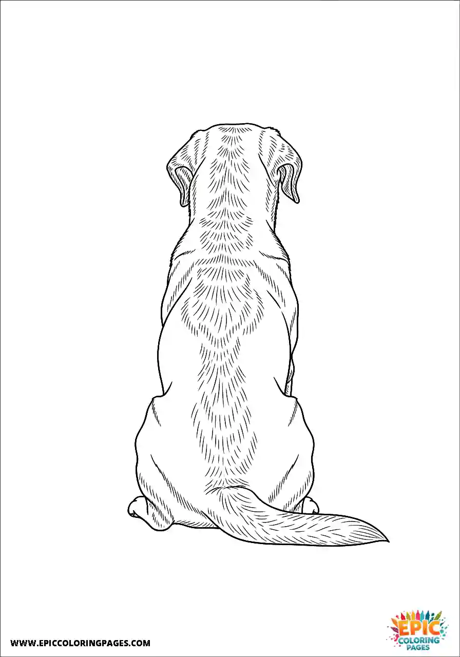 Labrador Retriever Dog Coloring Sheets Shown From The Back A Labrador Retriever dog coloring sheet for kids shown from the back.