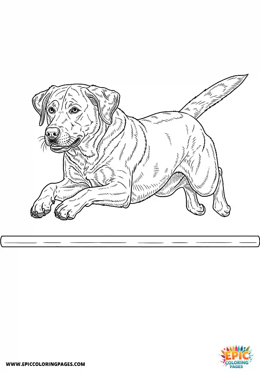 Labrador Retriever Dog Leaping Over An Obstacle A Labrador Retriever dog coloring sheet for kids leaping over an obstacle.