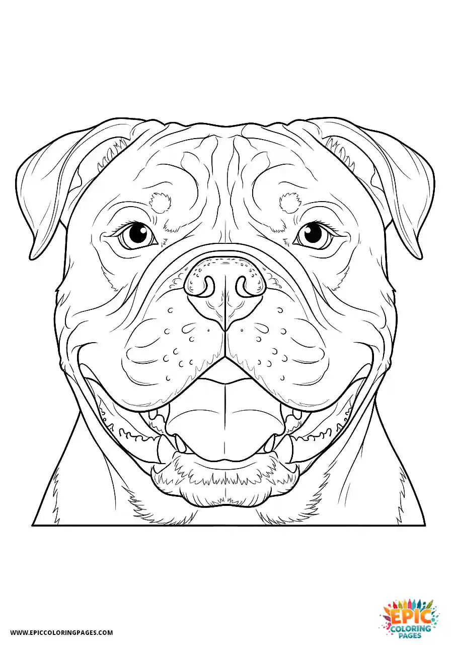 American Bulldog The realistic American bulldog with a happy grinning face