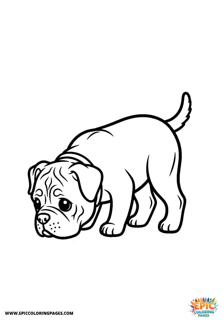 Realistic Cane Corso Dog Focused On Sniffing The Ground For Adults Realistic Cane Corso dog focused on sniffing the ground for adults