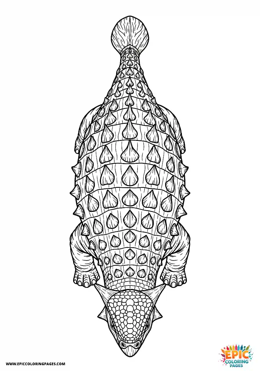 Ankylosaurus Top down realistic style Ankylosaurus dinosaur showing armor pattern