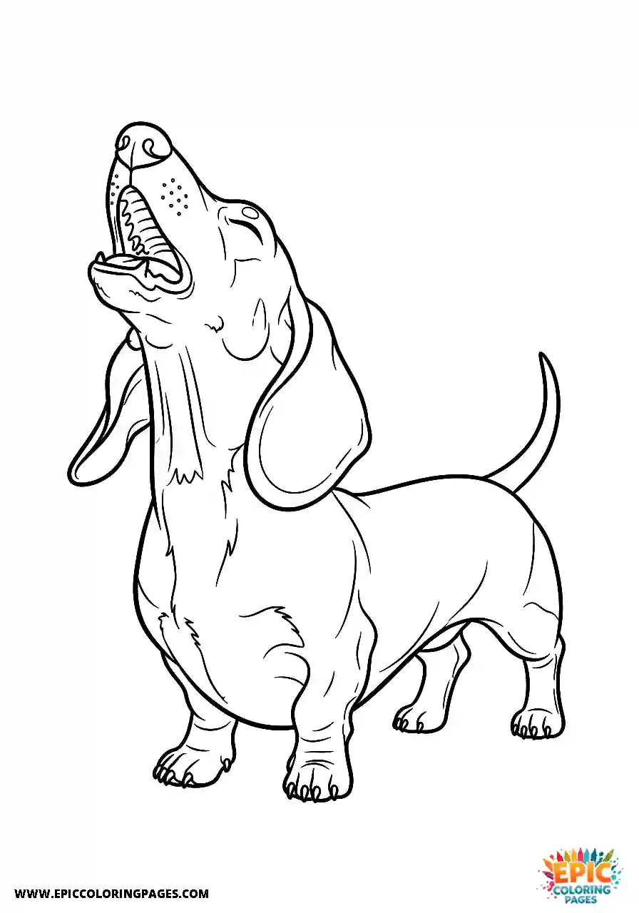 Dachshund Dachshund realistic style howling with its head raised