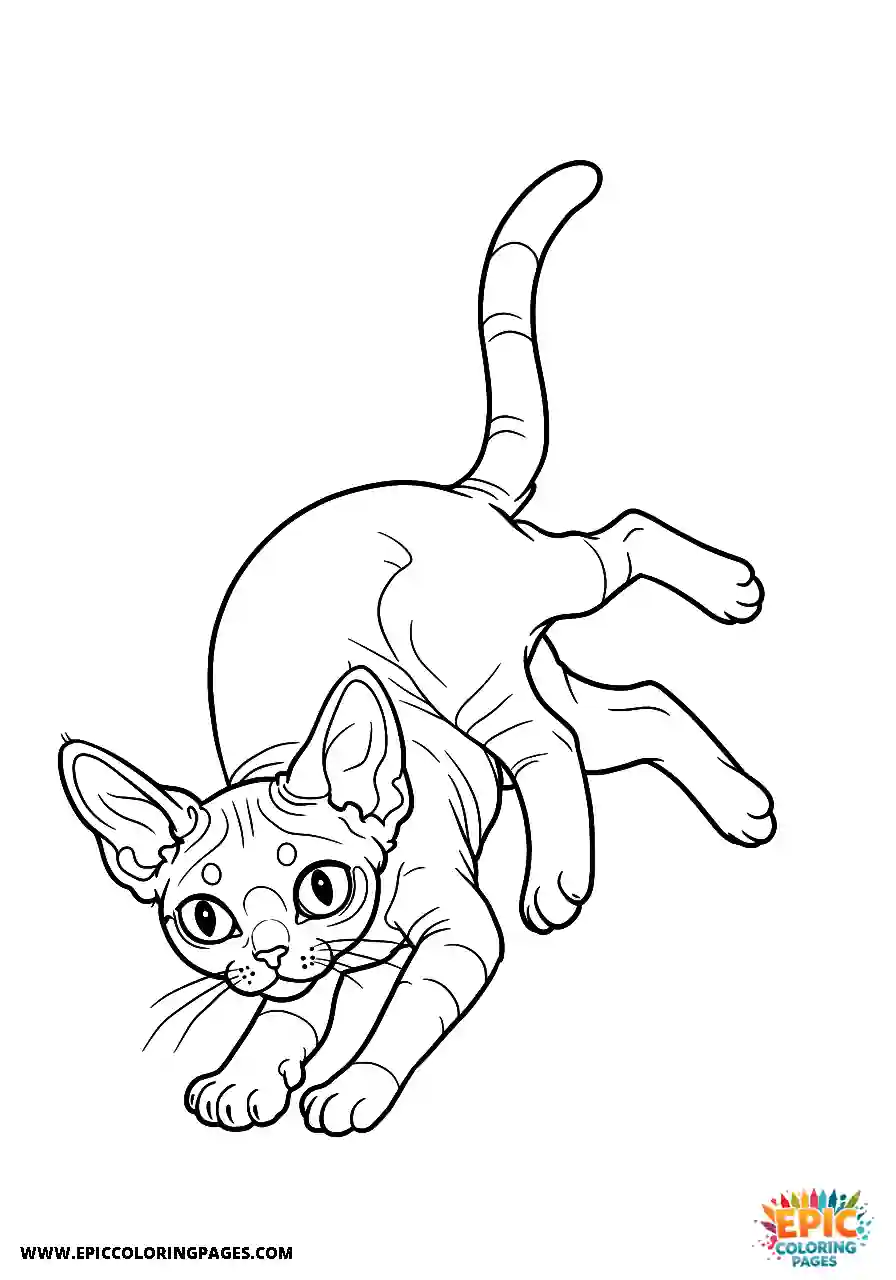 Devon Rex Devon rex cat in a comical chase with its own tail