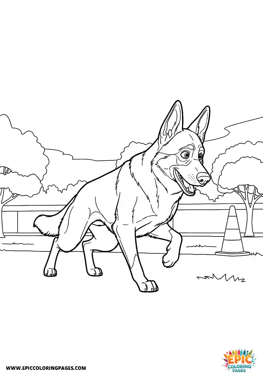 German Shepherd German shepherd practicing a focused training pose