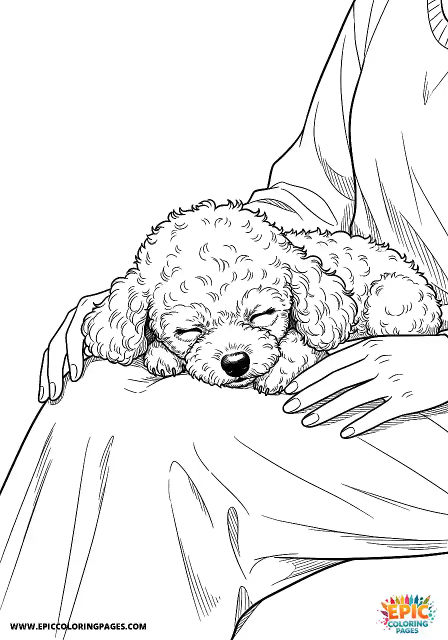 Poodle Dog Puppy Resting Peacefully On Someone S Legs Poodle dog puppy coloring sheet simple resting peacefully on someone's legs