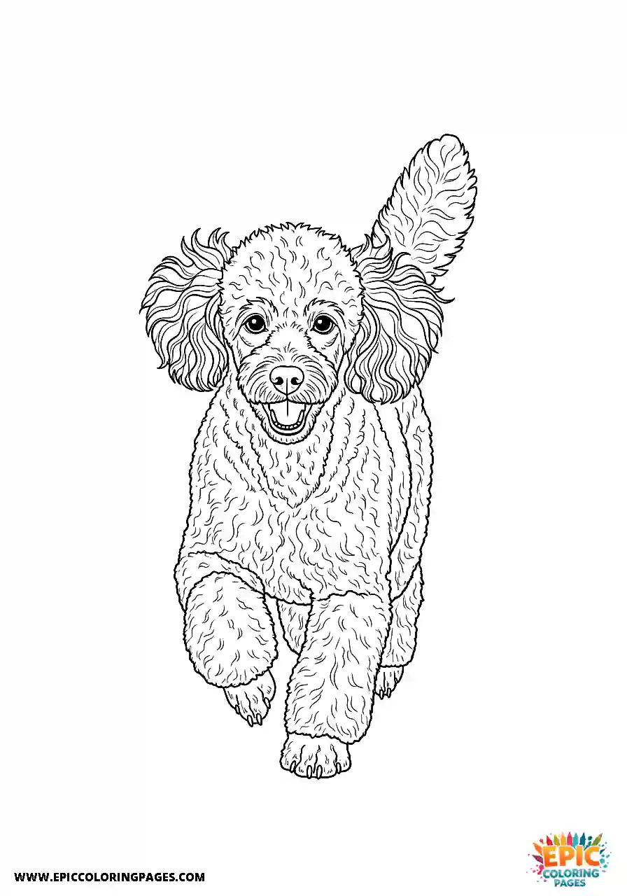 Poodle Dog Running Directly Towards The Camera Lens Realistic Style For Adults Realistic Poodle dog coloring page for adults running directly towards the camera lens