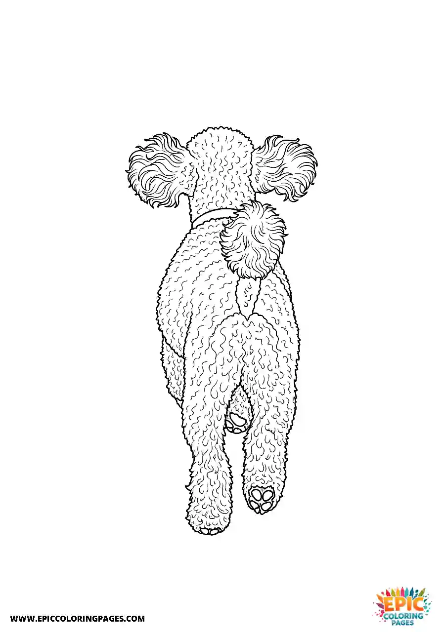 Poodle Dog Running Into The Distance Seen From Behind Realistic Style Realistic Poodle dog coloring page for adults running into the distance seen from behind
