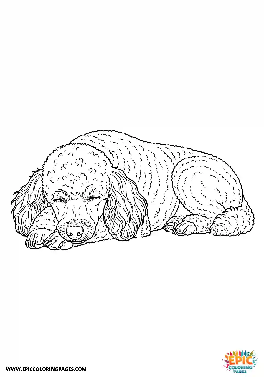 Poodle Dog Sleeping Peacefully On Its Side Realistic Style For Adults Realistic Poodle dog coloring page for adults sleeping peacefully on its side