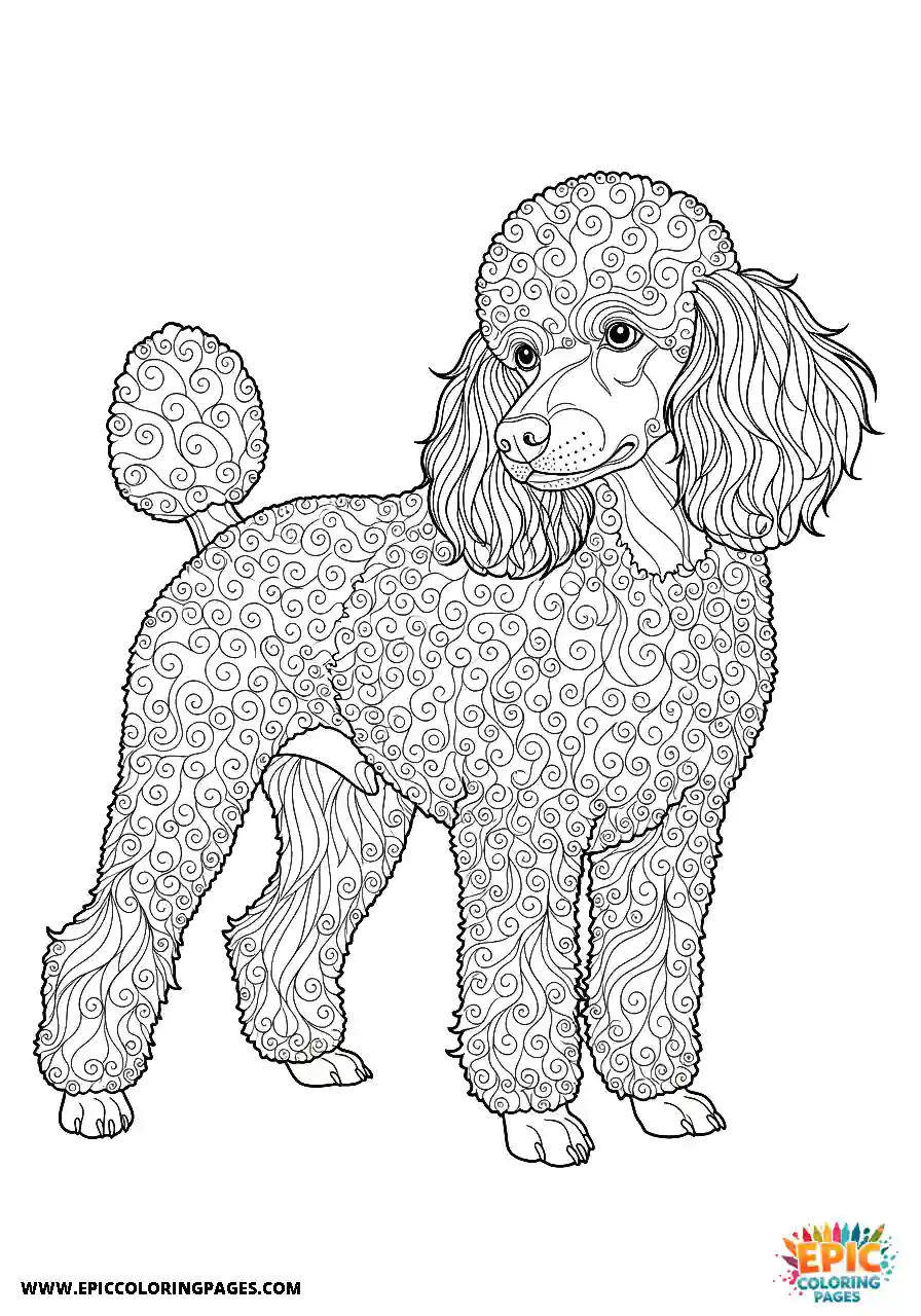 Poodle Dog Standing In A Three Quarter View Looking Over Its Shoulder Realistic Style Realistic Poodle dog coloring page for adults standing in a three quarter view looking over its shoulder