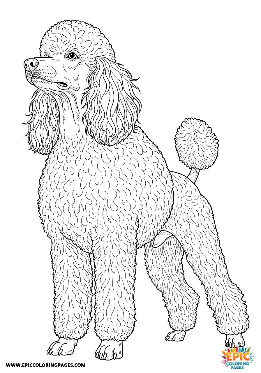 Poodle Dog Standing Tall And Looking Proud From A Low Angle Perspective Realistic Style For Adults Realistic Poodle dog coloring sheet for adults standing tall and looking proud from a low angle perspective