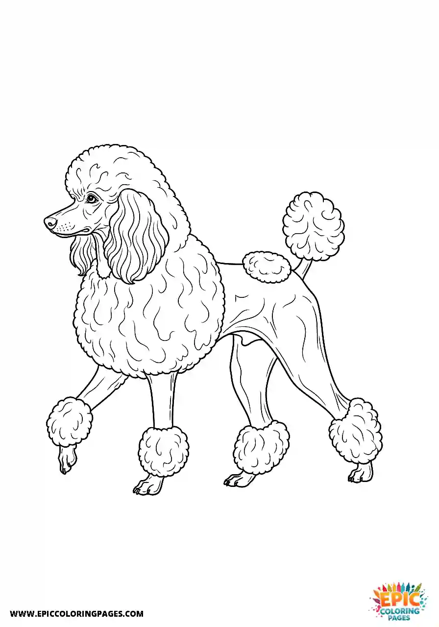 Poodle Dog Walking Elegantly In A Side View Realistic Style For Adults Realistic Poodle dog coloring page for adults walking elegantly in a side view