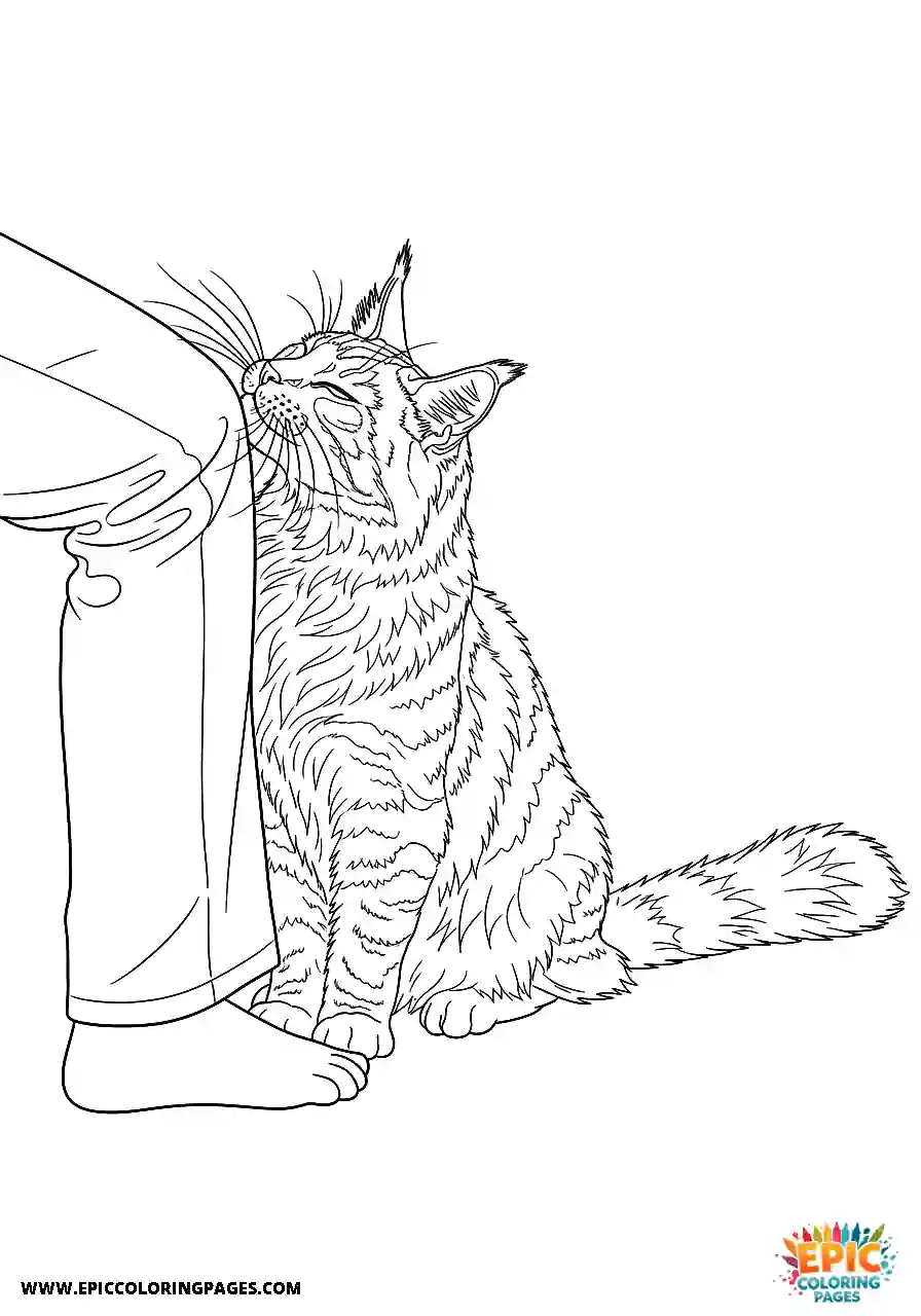 Maine Coon rubbing its face against a leg in realistic style