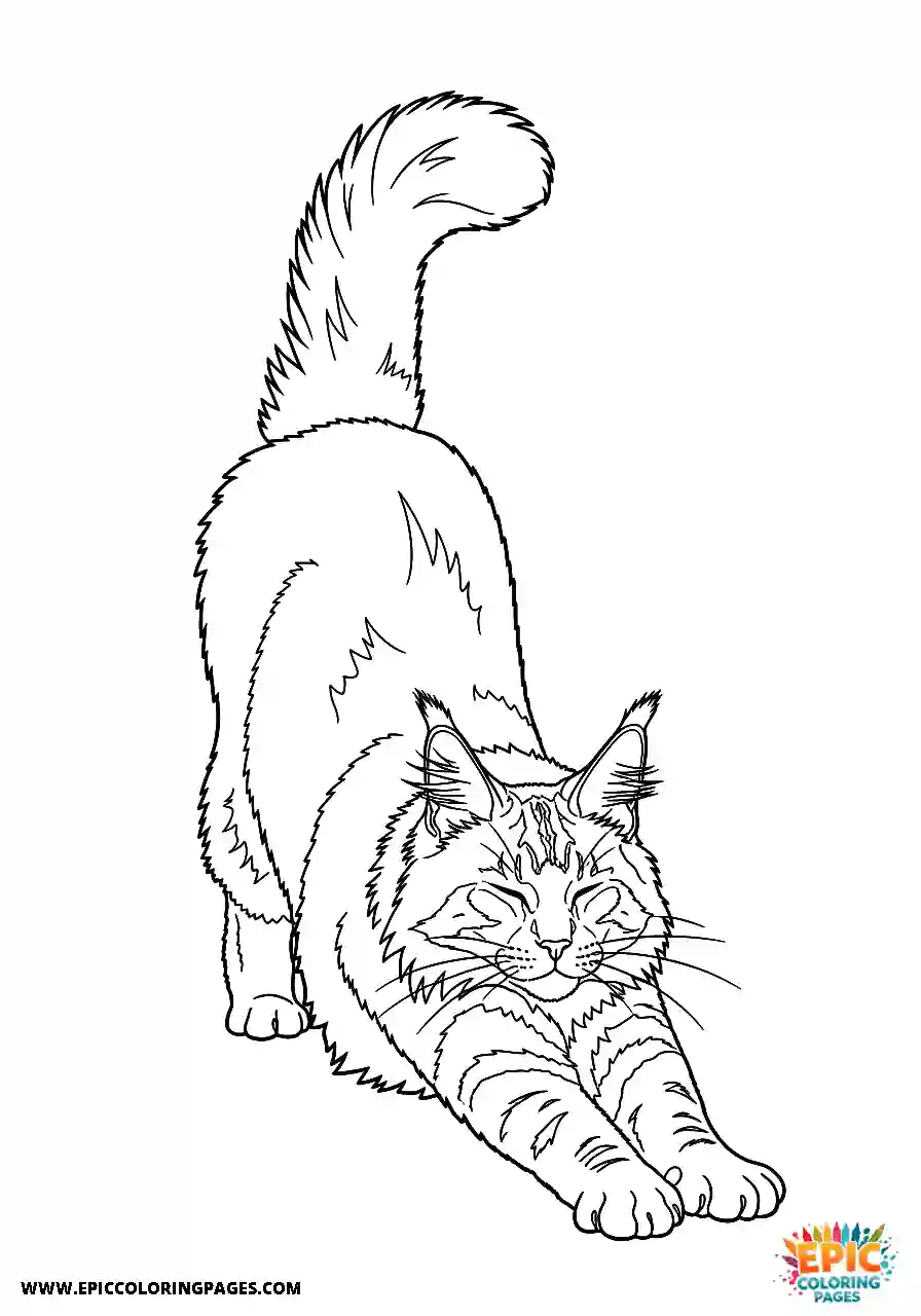 Maine Coon stretching after a long nap in realistic style