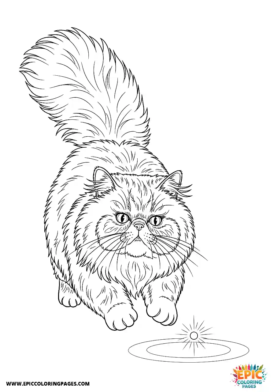 Persian Realistic Persian cat coloring sheet chasing a laser pointer for adults