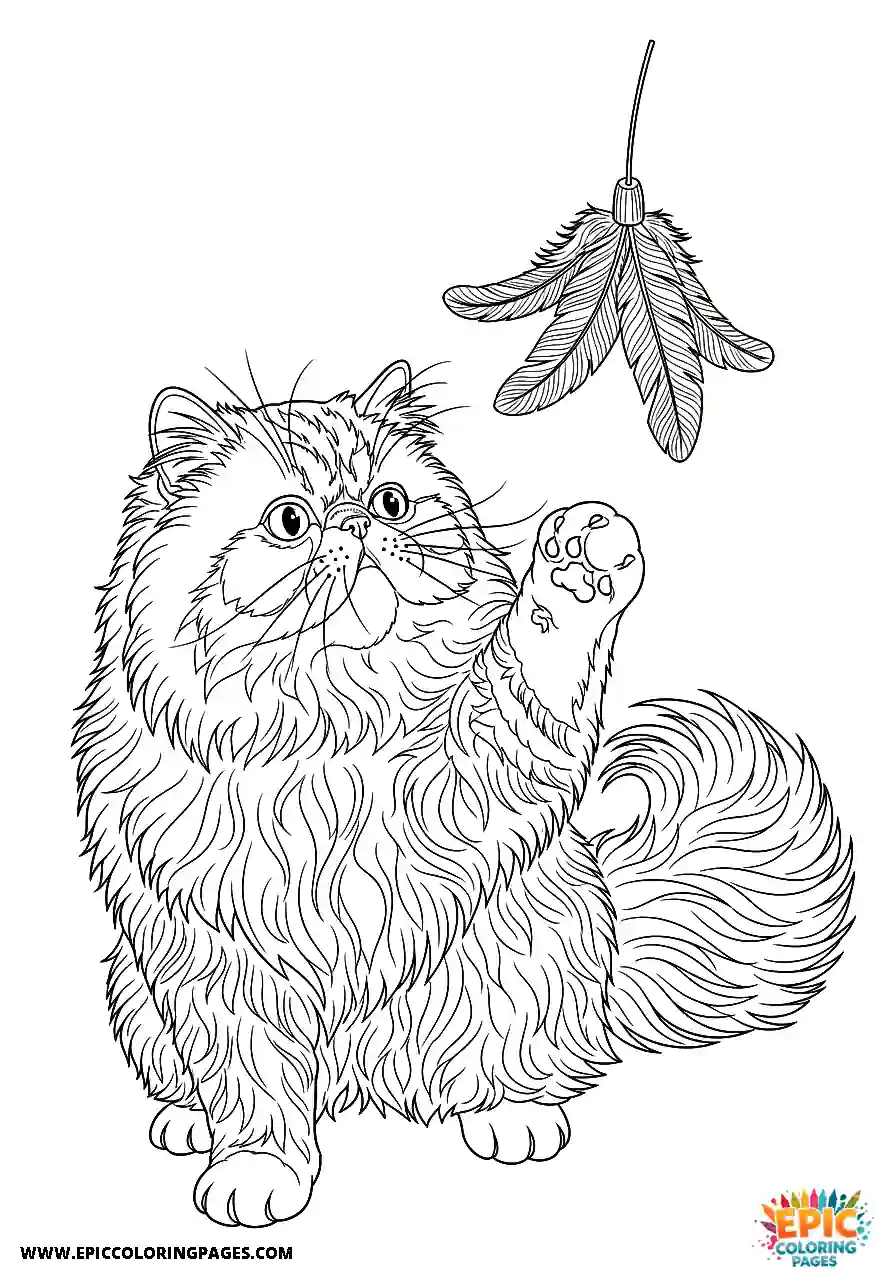 Persian Realistic Persian cat with a feather toy coloring sheet