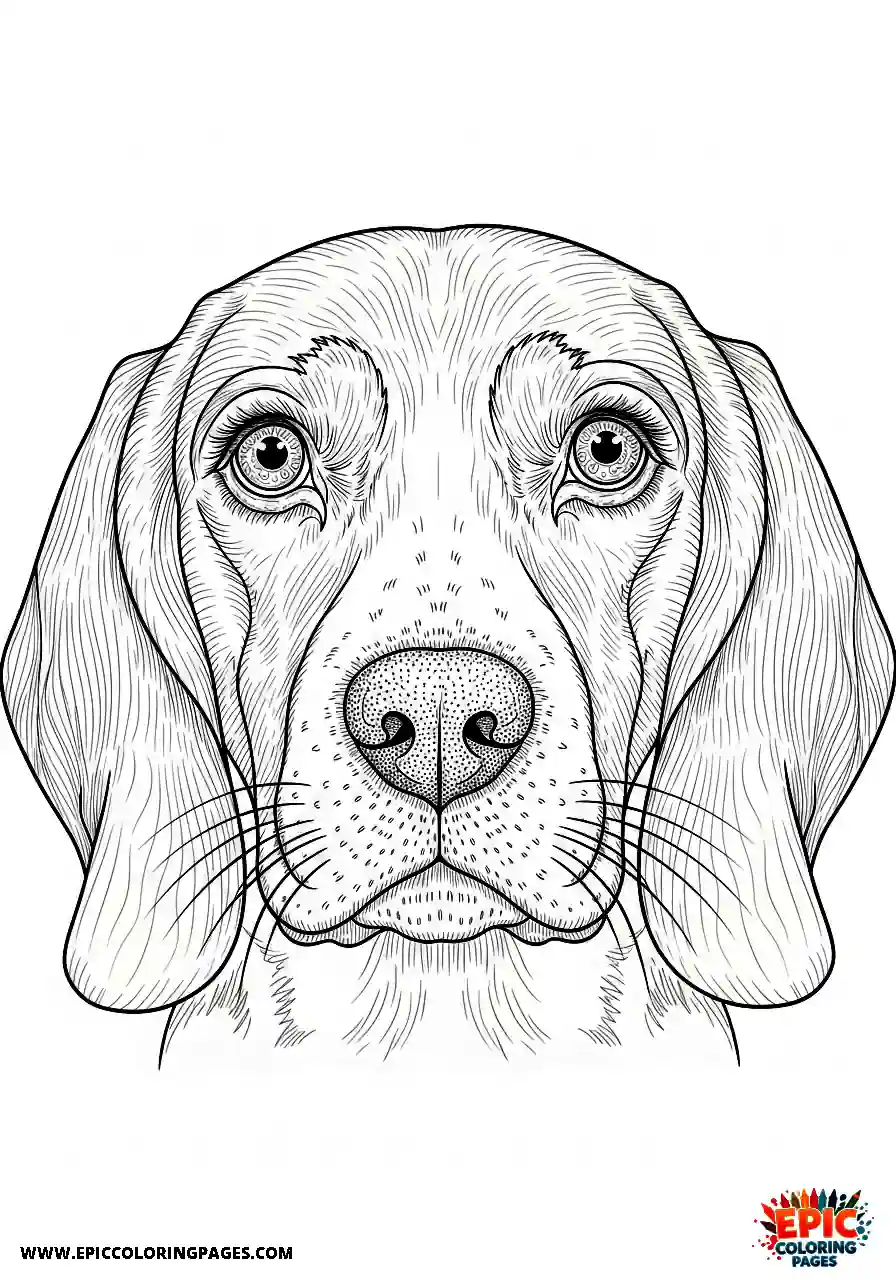 Beagle Beagle close portrait with detailed eye anatomy and complex iris patterns