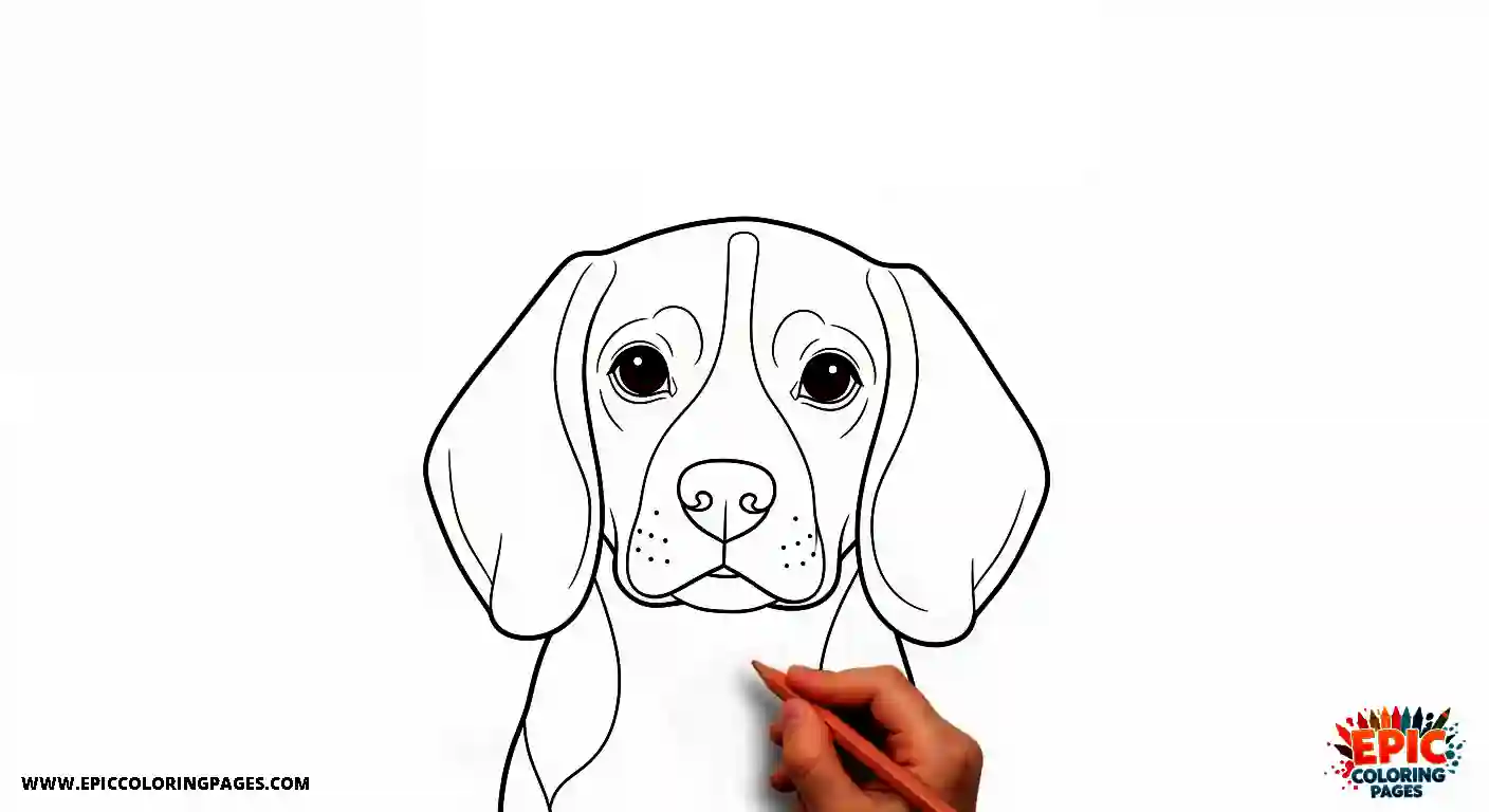 Beagle beagle dog coloring sheet