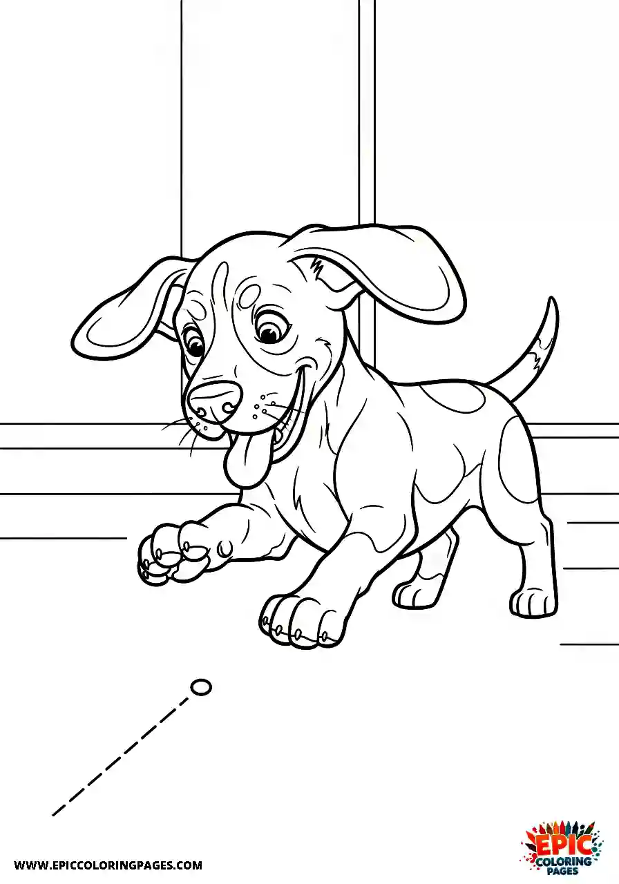 Beagle Energetic beagle harrier jumping to catch a fast moving red laser pointer