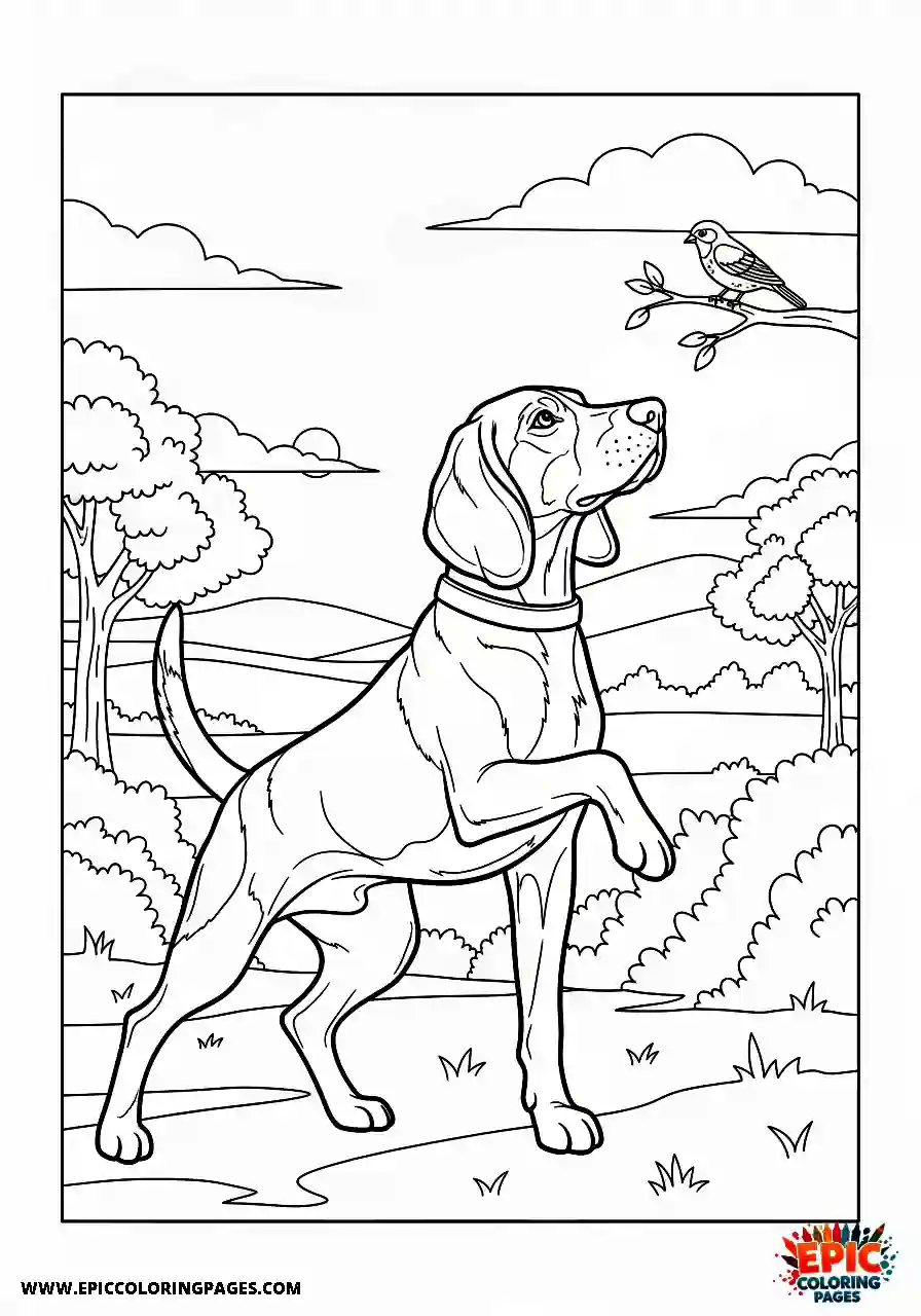 Beagle Focused beagle harrier hunter pointing directly at a small resting bird