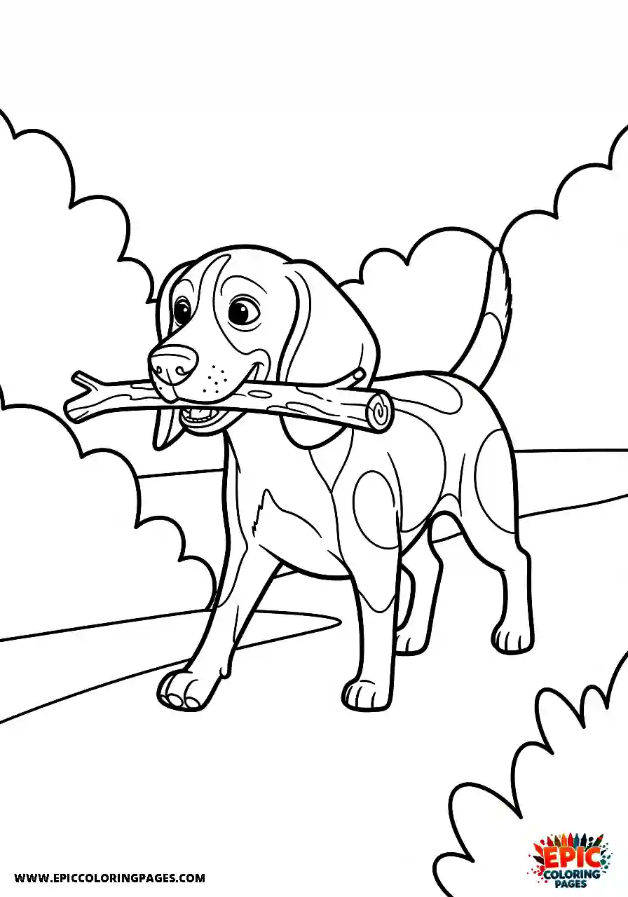 Beagle Loyal beagle harrier pet successfully bringing back a wooden stick