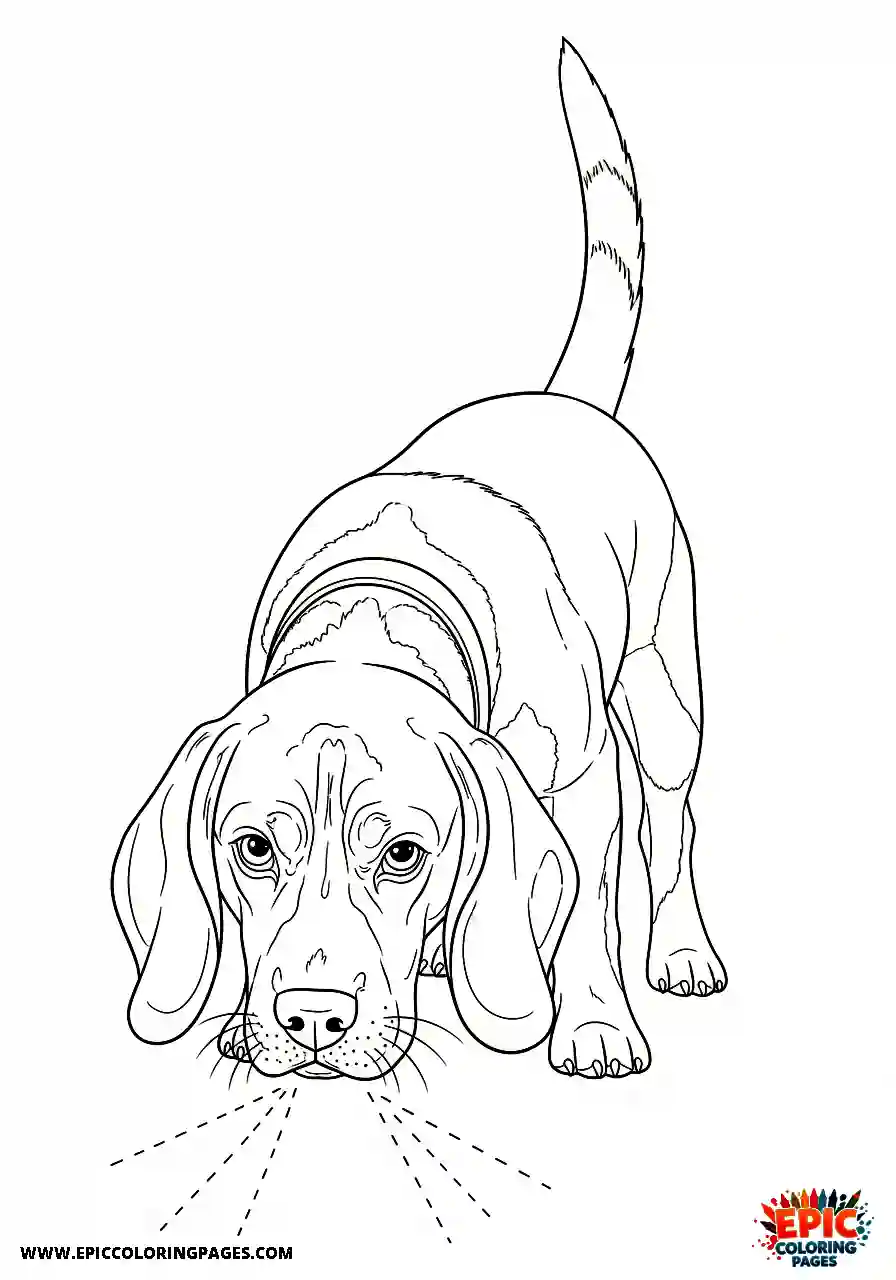 Beagle Realistic beagle dog investigating an interesting smell with a concentrated expression