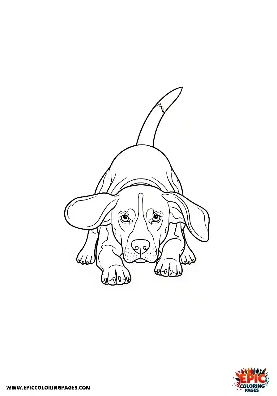 Beagle Realistic beagle hound hiding low to the ground before jumping forward