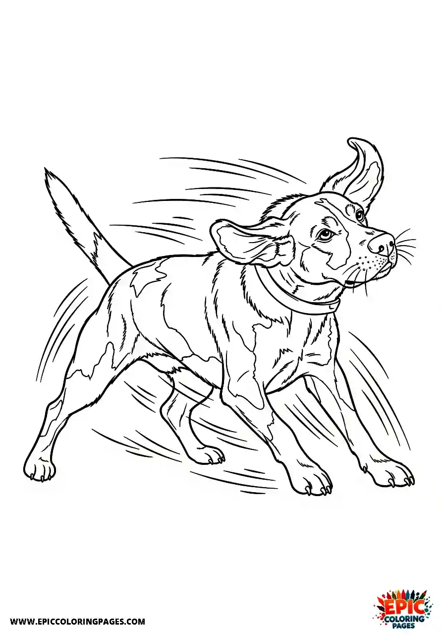 Beagle Realistic style beagle harrier shaking vigorously with motion lines around its body