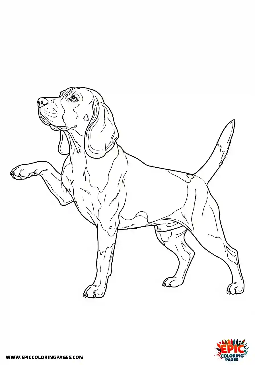 Beagle Realistic style beagle pointing stance with one paw raised and the nose forward