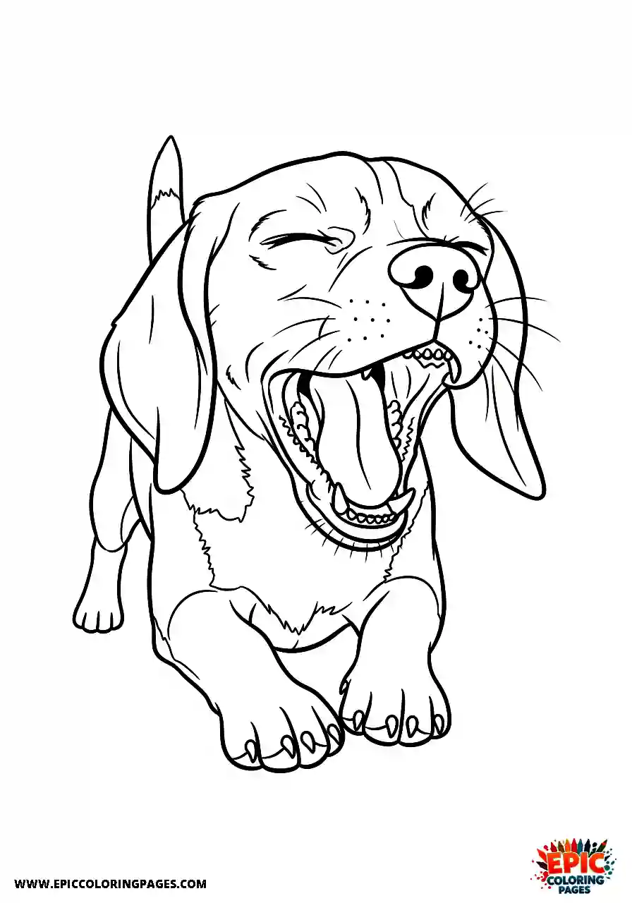 Beagle Realistic style beagle pup yawning with a wide open jaw showing its teeth