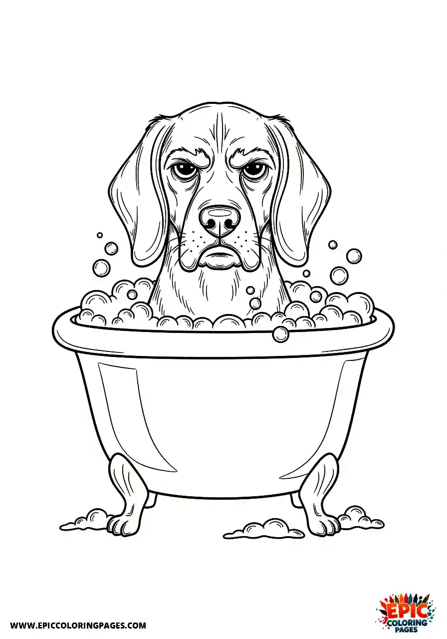 Beagle Unamused beagle harrier looking extremely unamused while taking a warm soapy bath