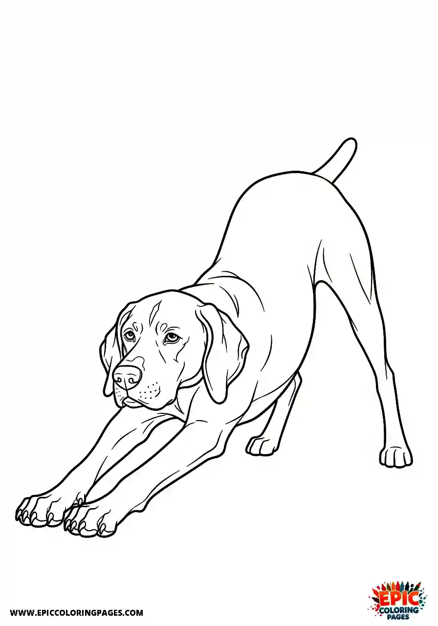 german shorthaired pointer Anime style german shorthaired pointer stretching lazily after waking up