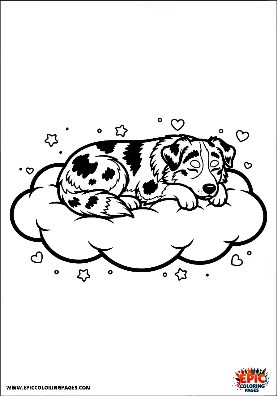Australian Shepherd Australian Shepherd resting on a cloud