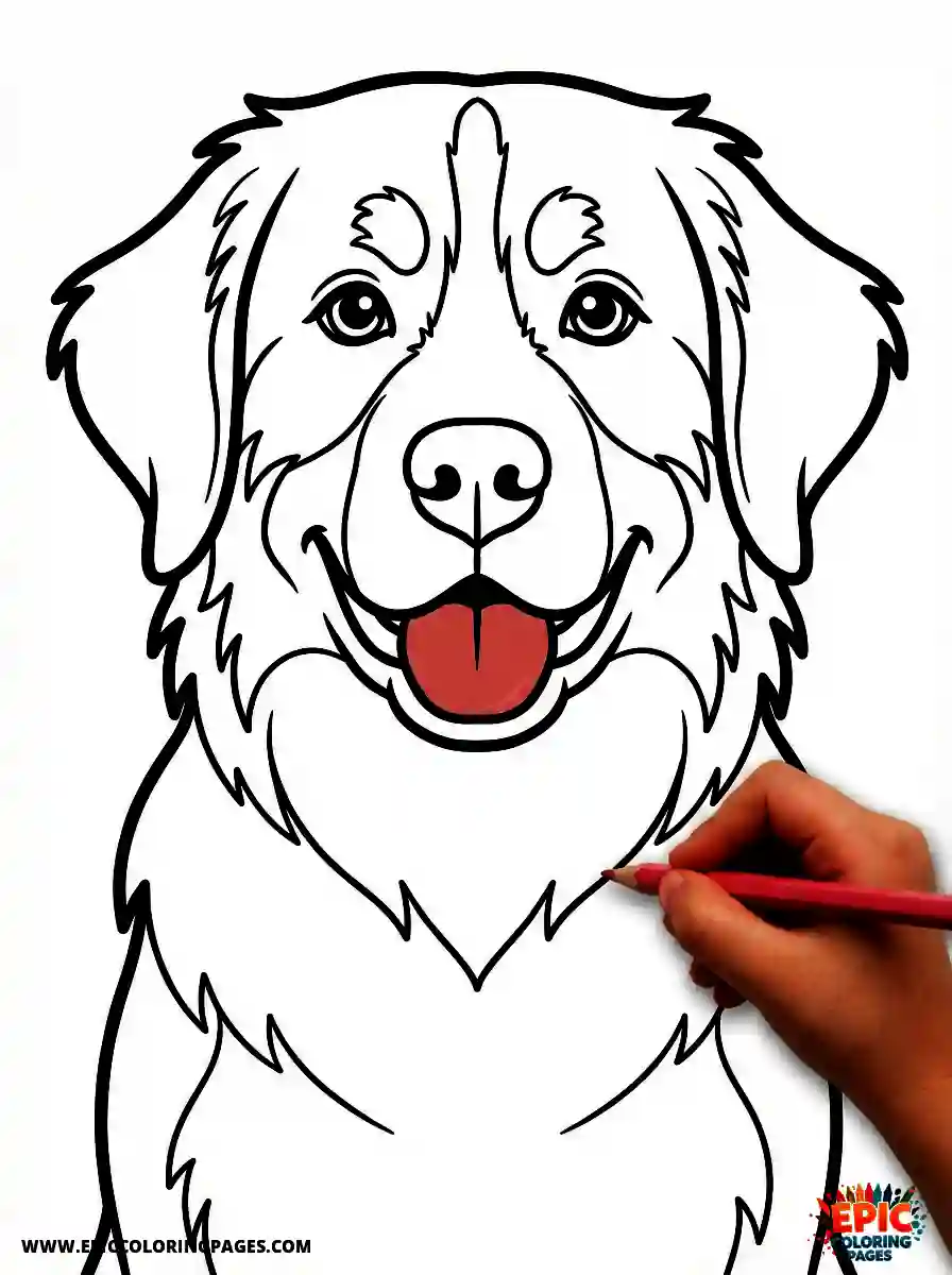 Bernese Mountain Dog coloring page featuring thick lines and the breed's classic markings