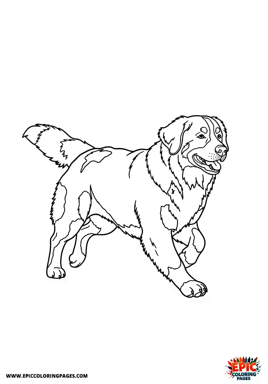 Bernese Mountain Dog Bernese mountain in realistic style sprinting with energy