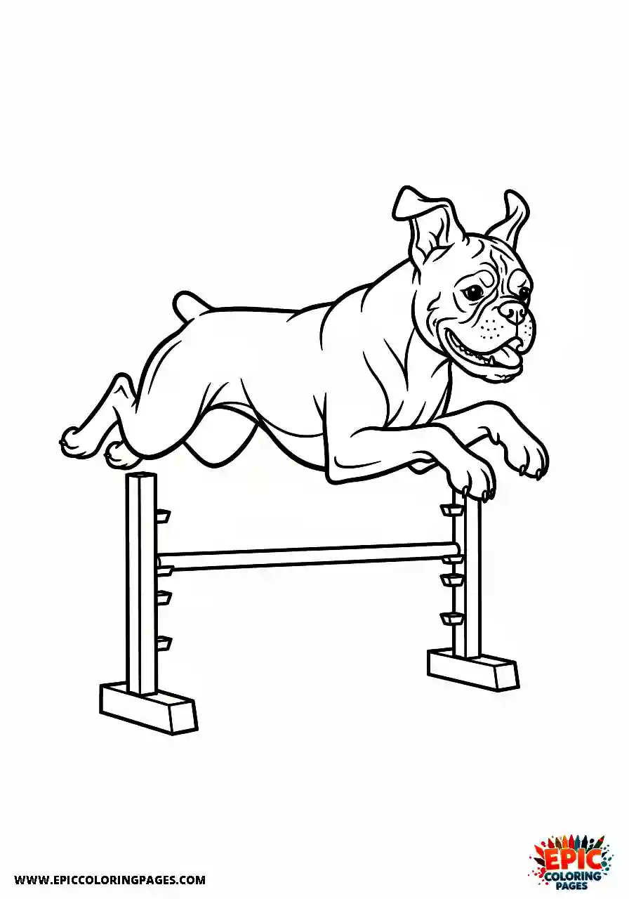 Boxer Boxer dog pup leaping over a small hurdle