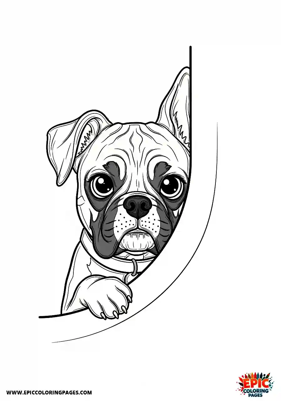 Boxer Curious face of a realistic boxer dog peeking around a corner