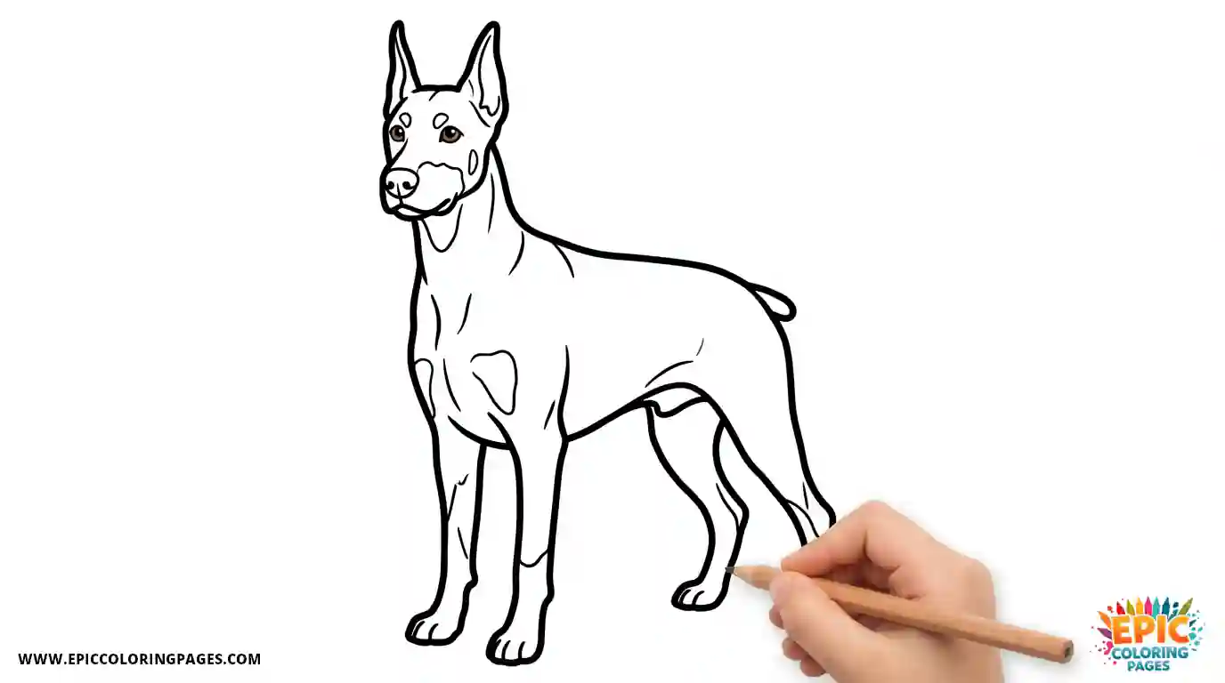 Doberman coloring sheet with thick lines, easy printable dog outline for kids and beginners