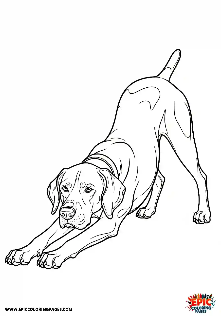 german shorthaired pointer Easy anime style german shorthaired pointer doing a morning stretch routine
