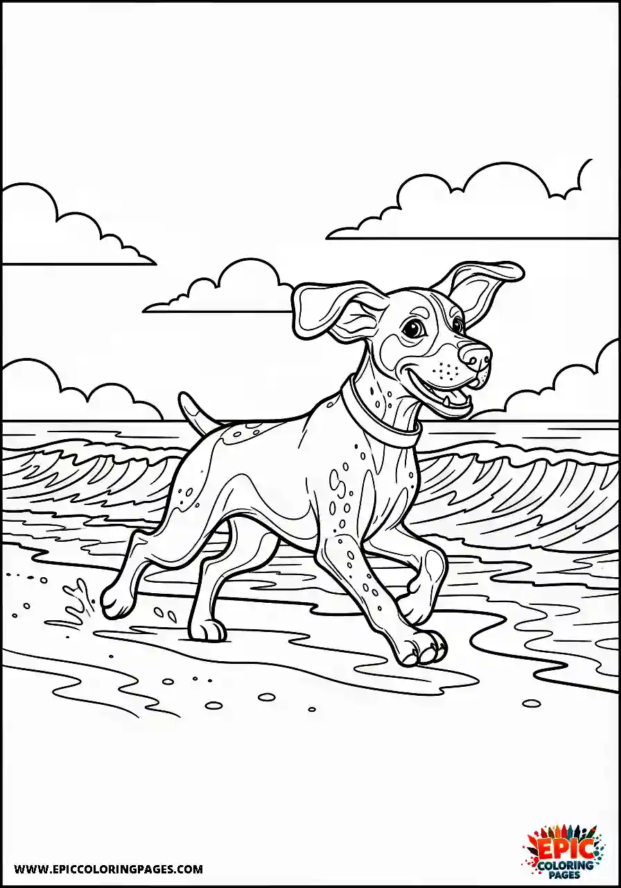 german shorthaired pointer German shorthaired pointer dashing energetically across a warm sandy ocean shoreline