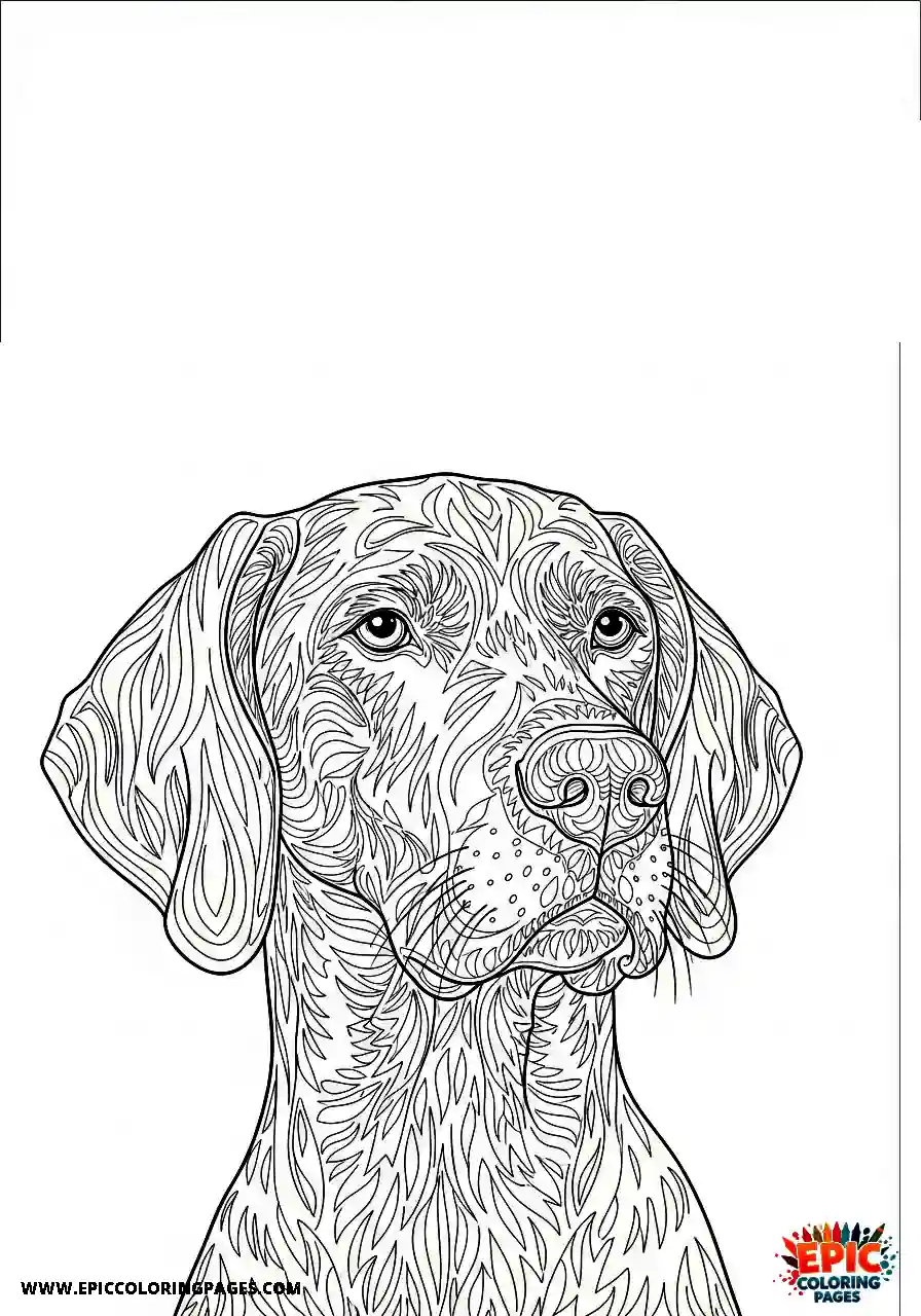 german shorthaired pointer German shorthaired pointer with delicate facial whiskers and expressive canine eyes