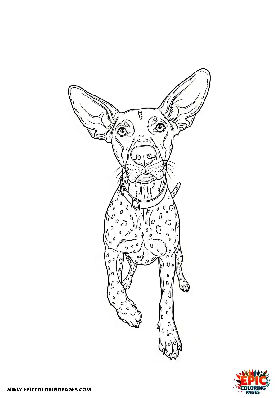 german shorthaired pointer German shorthaired pointer from a low dramatic ground angle looking upward at the canine
