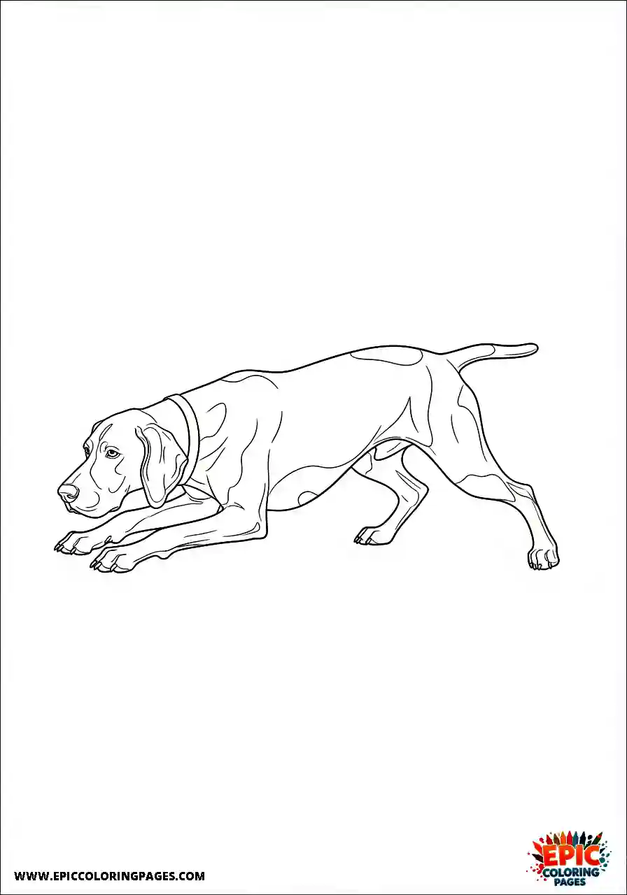 german shorthaired pointer German shorthaired pointer in realistic style prowling very close to the dirt while stalking quietly