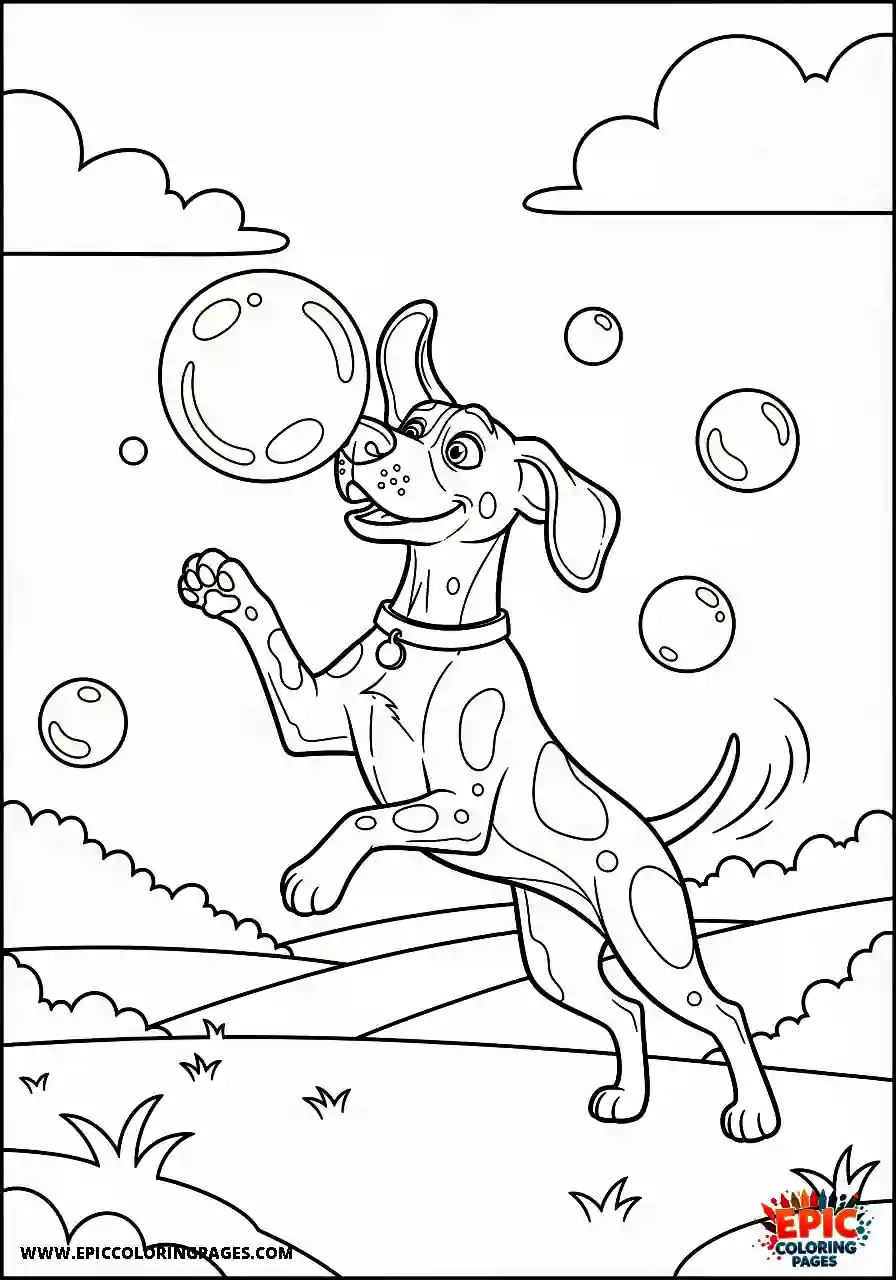 german shorthaired pointer German shorthaired pointer snapping its powerful jaws at floating iridescent soap bubbles drifting across the path