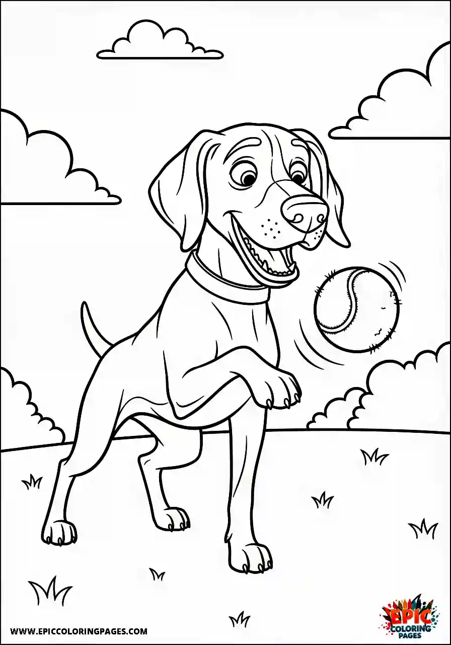 german shorthaired pointer German shorthaired pointer waiting eagerly for its owner to throw a classic sports ball