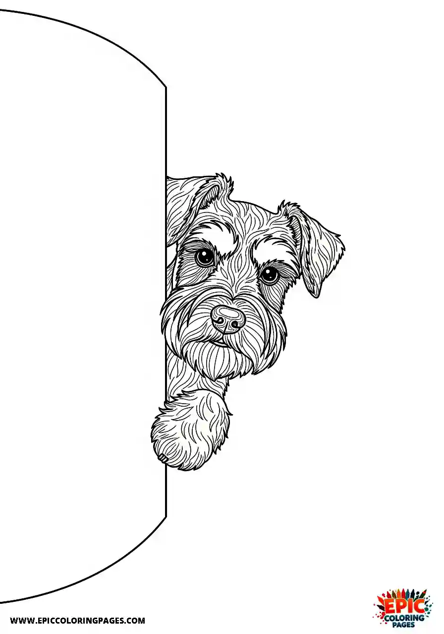 Miniature schnauzer coloring sheet for adults in realistic style peeking around a corner