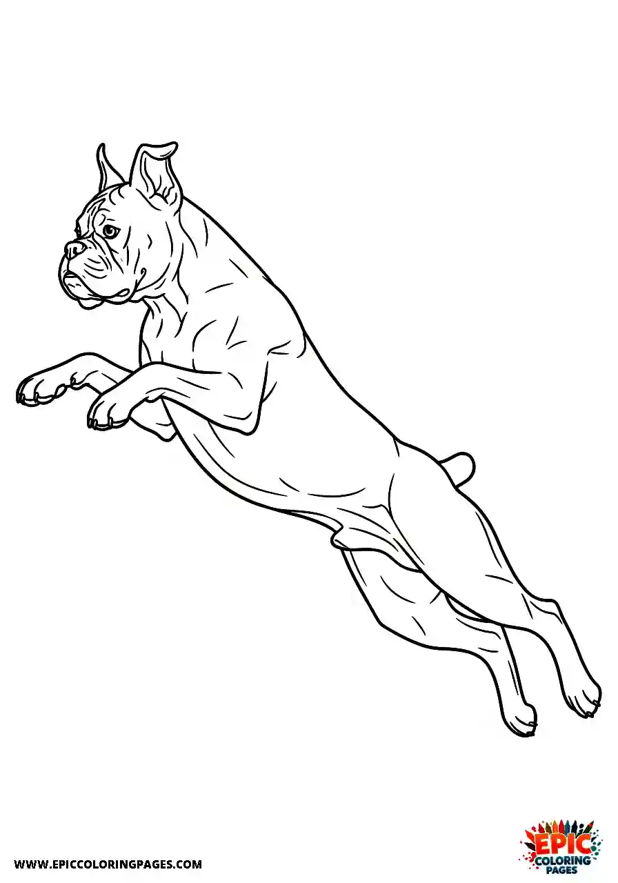 Boxer Realistic boxer dog leaping fully extended in the air
