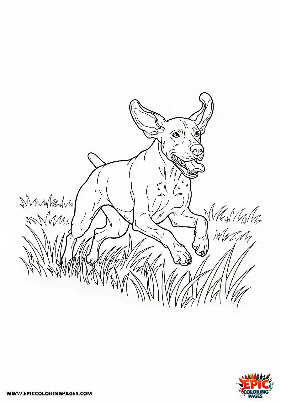 german shorthaired pointer Realistic style german shorthaired pointer bounding joyfully across a wide open grassy field