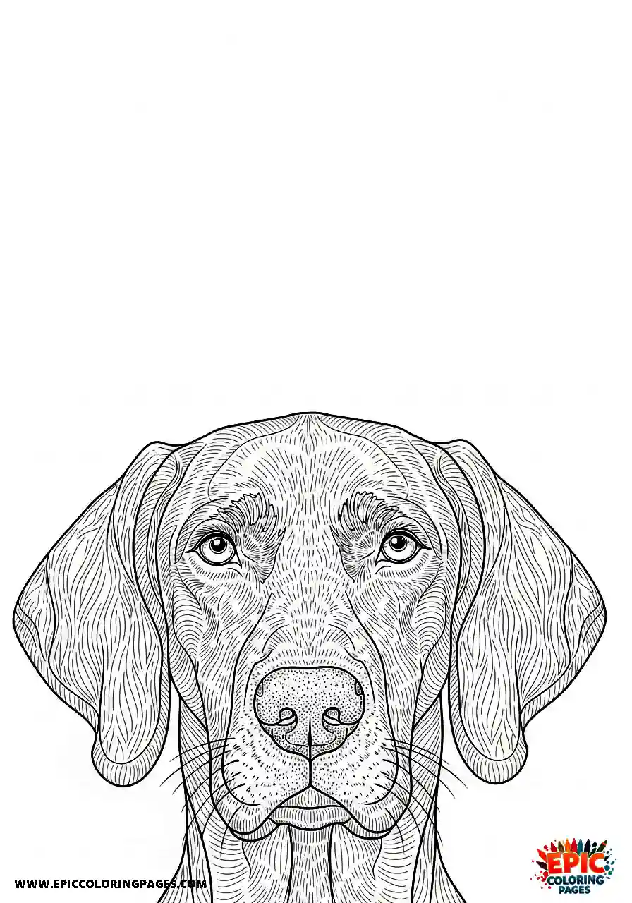 german shorthaired pointer Realistic style german shorthaired pointer with an intense facial study and folded ears